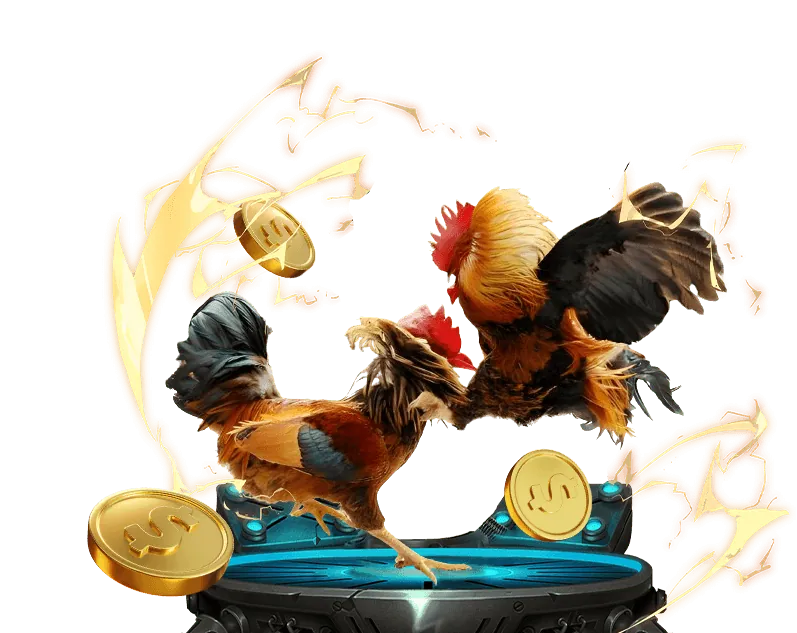 Người chơi đang tập trung vào màn hình cá cược đá gà trực tuyến, áp dụng các mẹo chơi hiệu quả